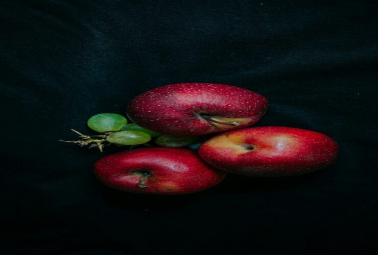 apple fruit coloring page