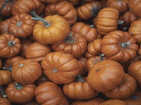 are pumpkins fruit or veggies
