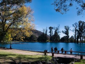 Abbott Park Lake County