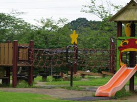Ace Adventure Park