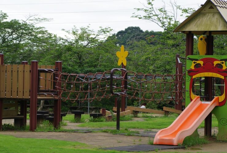 Ace Adventure Park