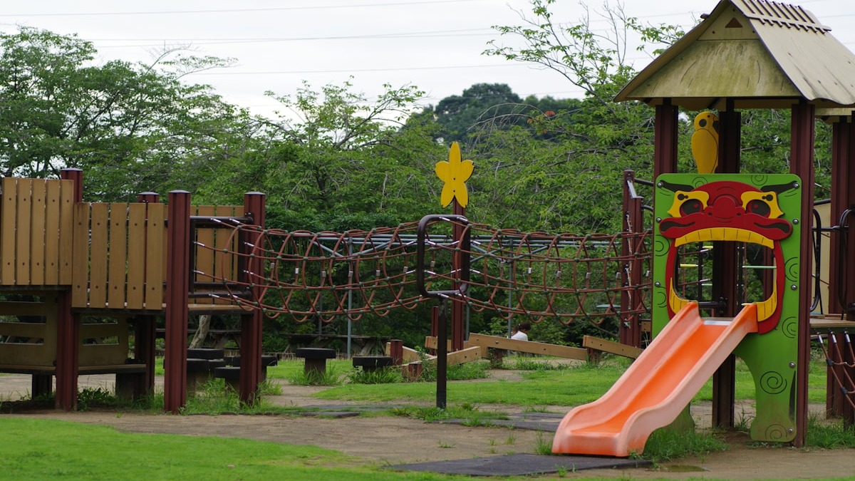 Ace Adventure Park